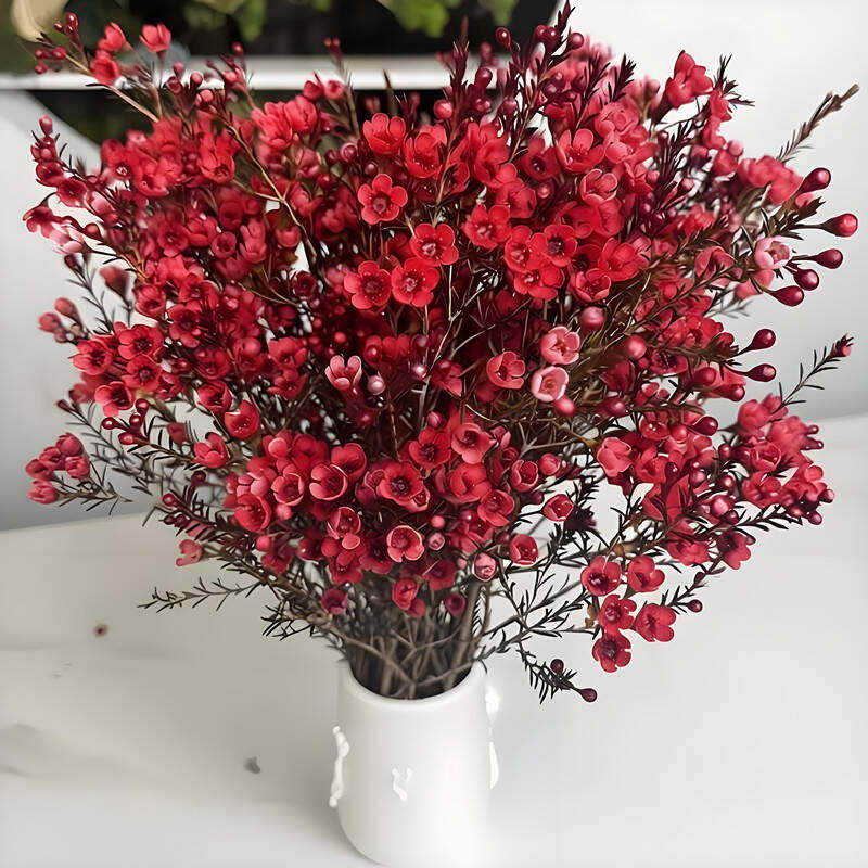 【腊梅+花瓶】澳洲腊梅鲜花水培年宵花