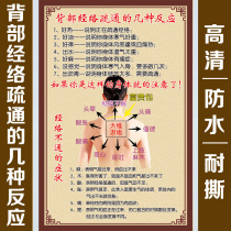 Chinese medicine health hall decoration painting meridian dredging improvement response wall chart Back beauty salon physiotherapy poster wall sticker