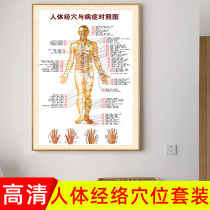 Traditional Chinese medicine human meridian acupoint chart large wall chart household full body HD standard illustration Traditional Chinese medicine acupuncture Tuina ys