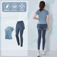 Синий [короткий рукав] два -балн TC17936