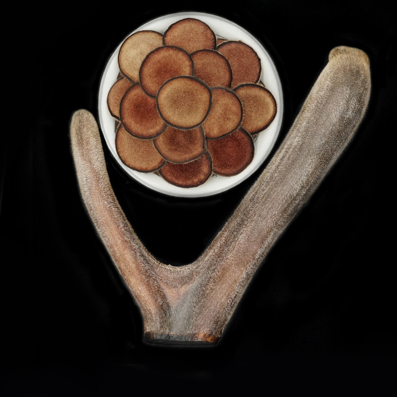 Jilin Mayflower Deer Antler Whole Branch Dry Antler Dry Sheet 20 gr Northeast Antler With Blood Footbath Wine Authentic