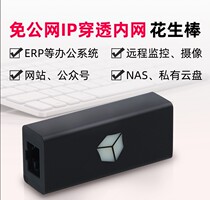 Peanut stick second generation peanut shell remote office can map the port intranet penetrates the external network to access ERP housekeeper