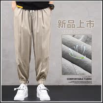 2021 spring new casual pants mens trend Korean version of Joker Ice Loose Bundle Foot ankle-length pants Harlan Long Pants