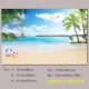 Abricot Seascape 19 модели