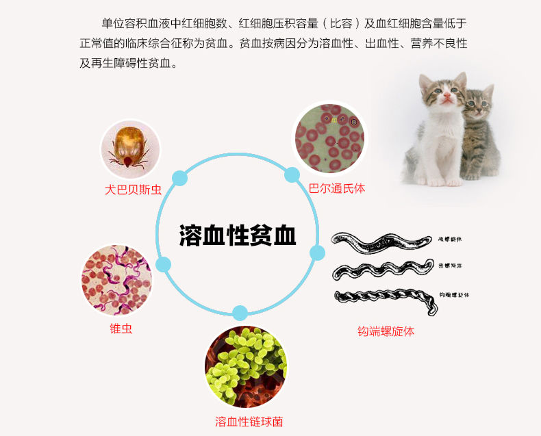 Nhân viên y tế máu cao và tinh chất gan chó mèo cung cấp máu thiếu máu sau phẫu thuật răng lưỡi chó cưng trắng worm giun bụng mèo 30ml - Cat / Dog Health bổ sung 	sữa cho mèo con sơ sinh