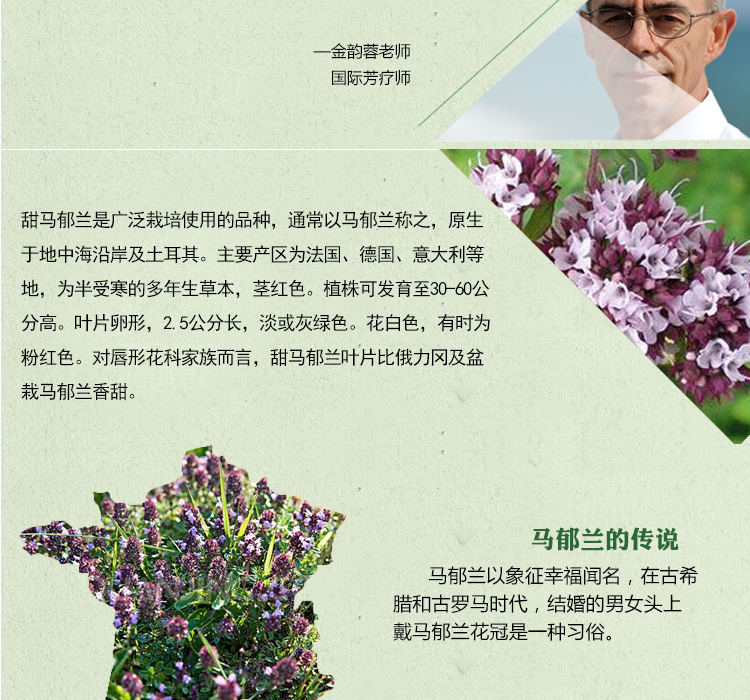 Cảm Ứng tự nhiên Ngọt Ngào Ngựa Yulan Ma Qiaolian 10 ml Đơn Phương Tinh Dầu Đi Qua Kinh Tuyến Hương Liệu Hương Liệu Chính Hãng tinh dầu xông phòng thơm