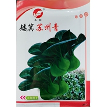 Dwarf Suzhou green seed short pile short stem stem big head stalk green vegetable dwarf tree cabbage canola 20g 5000 grain