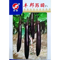 Fengbang Suzaki eggplant seeds long rod-shaped purple black long strip eggplant hybrid purple long-line eggplant seeds 100 grains