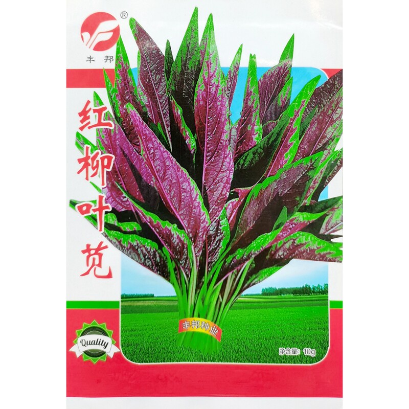 Red willow leaf amaranth seeds pointed leaves red green sweat vegetables Chinese vegetables spring, summer and autumn balcony vegetable seeds 10g 3000 grains