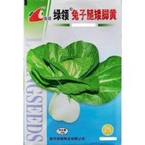 Green collar rabbit leg short foot yellow seed more short pile stalk wide white stalk cabbage white stalk green vegetable rape seed seed 20g