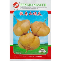 Muma mountain melon seeds cold potato jicama sand kudzu melon seeds vegetable seeds spring sowing 10g bag about 50 grains