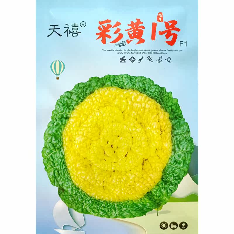 Tianxi Caihuang No. 1 yellow heart black cabbage seed hybrid yellow heart wrinkled leaf green vegetable black cabbage cold-resistant cabbage seed 20g
