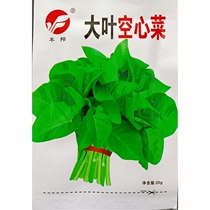 Big-leaf water spinach seeds big-leaf macaroni cabbage spinach vine vegetable seeds 20 grams 50 grams about 200 grains
