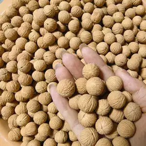 文玩堂：爆肉粗筋龍脊碧根果 Amazon.com: Bai Xian Pi - Dense-Fruit Dittany Root bark, 100