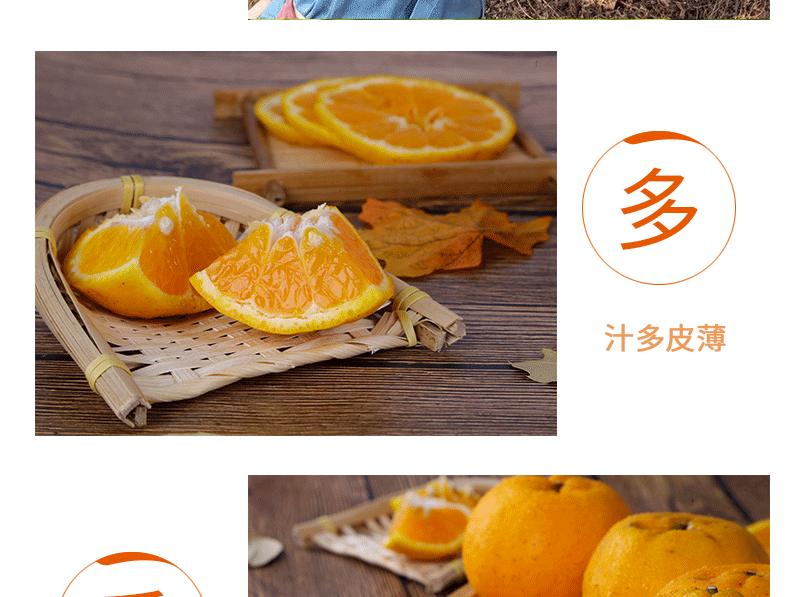 衢州椪柑芦柑 新鲜柑橘 6斤 图4