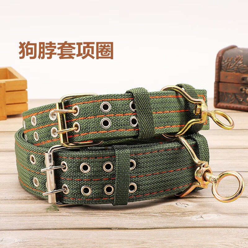 大型犬用首輪、犬用首輪、ネックカラー、ゴールデンレトリバーやジャーマンシェパードなどの中型犬用ペット用品。