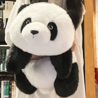 May Old Flower Flower Party 55 см