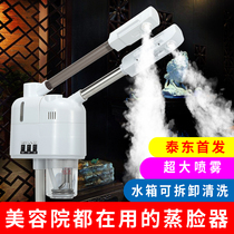Face steamer thermal spray Household face hot and cold sprayer Beauty instrument Double spray nano hydration instrument Hospital cold spray machine