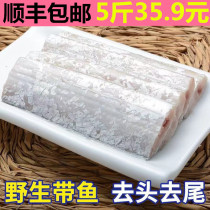 With fish section fresh frozen midsection 5 catty small eye knife fish whole box East China Sea fresh aquatic Shun Feng