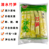Small bamboo shoots Fresh 6 catties of water wild bamboo shoots tip Arhart small spring bamboo shoots 1000g * 3 bags now dug bamboo shoots
