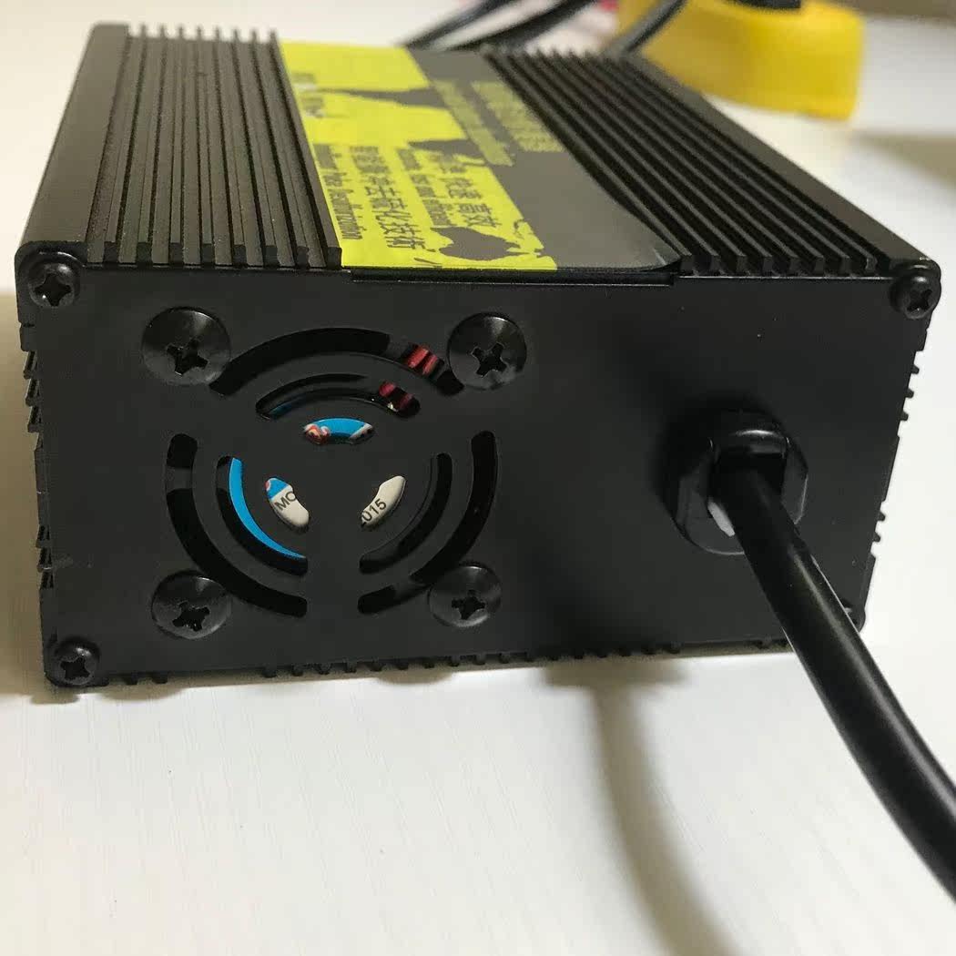 Electric vehicle Battery Repair Instrumental 12V24V36V48V60V72V Universal starving activated pulse thier deity