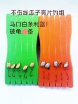 Tie up melon seeds bright sheet fishing group Horse mouth white bait