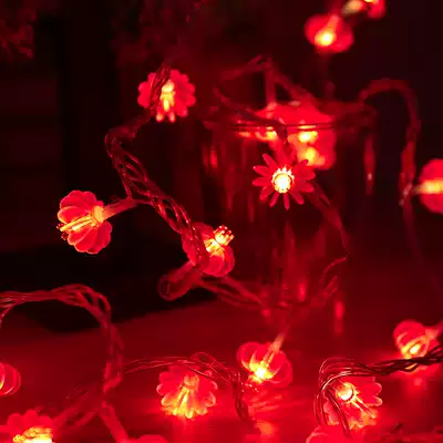 LED lantern flashing light string wedding room decoration light Lantern red lantern Chinese knot Spring Festival festive small Lantern string