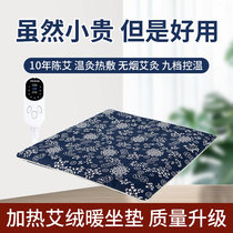 Electric heating wormwood cushion Heating pad Office heating wormwood electric blanket Heating cushion Moxibustion heating pad