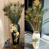 Чистого натурального павлина бутылочки для бутылки с пером