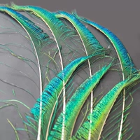 6 кусочков перьев 70-80 см с украшениями