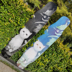 Seesaw longboard ba thế hệ tái sinh cô gái mới bắt đầu trượt ván chuyên nghiệp nhảy ván nhảy Meow long board - Trượt băng / Trượt / Thể thao mạo hiểm giày trượt patin trẻ em Trượt băng / Trượt / Thể thao mạo hiểm