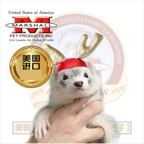 The Pet Shop Cedar of the Worm Brother, the Deer Corner Cap Pet Mink Hat Snowminke Christmas Hat Mar Snow Ferret Holiday