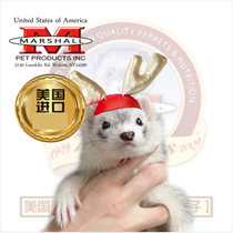 Pet Shop Snow Minke Corner Cap Pet Minke Deer in the Worm Brothers Gothic Deer Corner Hats Ferrets Christmas Hat Mar Snow Ferret Holiday