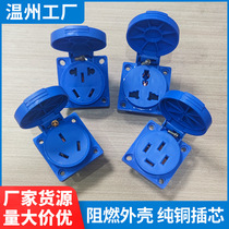 Explosion-proof five-hole power socket waterproof and explosion-proof outdoor charging socket 10A16A industrial explosion-proof socket panel