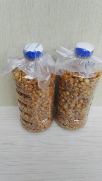 发酵的玉米小麦窝料野钓鲫鱼鲤鱼草鱼青鱼打窝料鱼饵底窝钓鱼酒糟