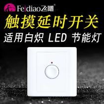 Fly Engraving LED Touch Time-lapse Switch Panel Home Smart Inductive Touch 86 Type Wall Floor Light Touch