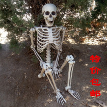 Skeleton skeleton model Halloween bone corpse escape props Haunted House horror house decoration mummy ornaments