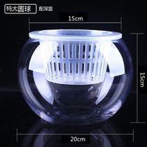 Vase glass hydroponic transparent green water plant round ball container dish large plastic round fish tank