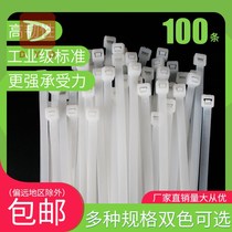 GB nylon self-locking cable tie buckle fixed large spray advertising tie 10*400 500 White Black