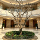 Simulated Dead Tree Carving, Decorative Tree with Real Tree Trunk, Entrance Landscaping, Lobby, Hotel, Coffee Shop, Floor-Standing Ornament