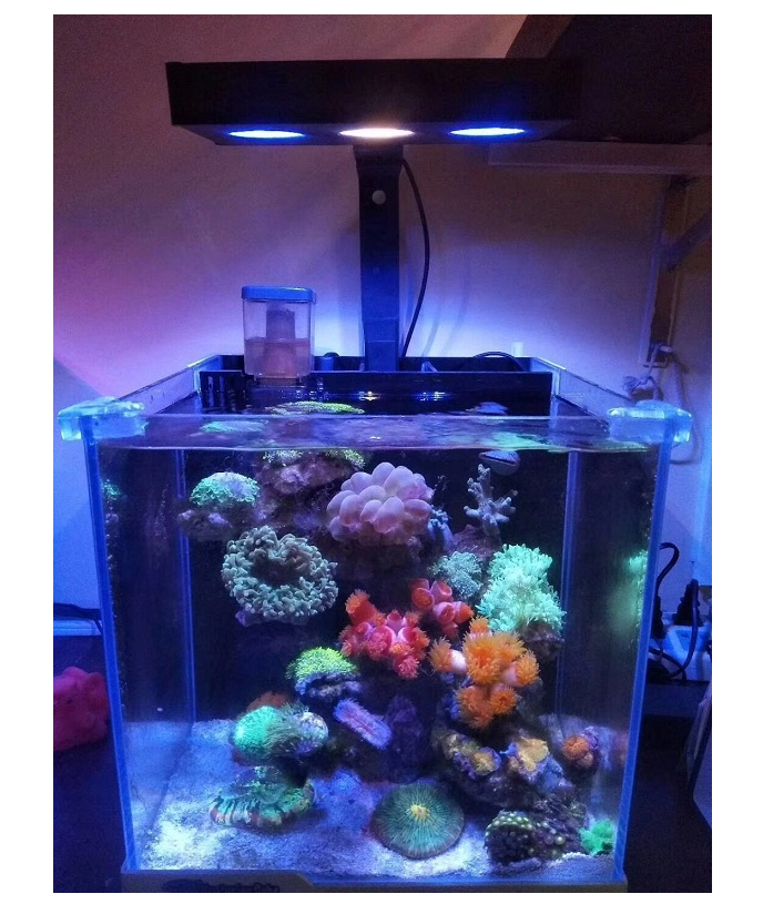Canopy Marine Coral Lamp Sea Cylinder Light A030 052075 Small Vat Algae Cylinder LED Full Spectrum Light Sunrise Sunset