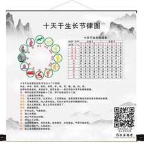 Ten days of dry growth rhythm map scroll painting Zhou Yi Jing Taoist twelve long-term Chinese medicine health Feng Shui decorative painting