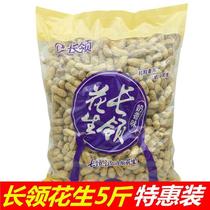 Long-collar peanuts Henan specialty affordable 5kg bagged marinated garlic milk fragrant salt dry optional roasted peanut nuts