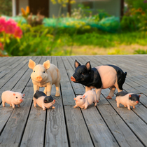 Creative simulation pig animal sculpture living room balcony flower garden Garden Farm decoration resin crafts ornaments