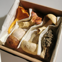 Pre-French designer handmade mushroom pendulum pieces