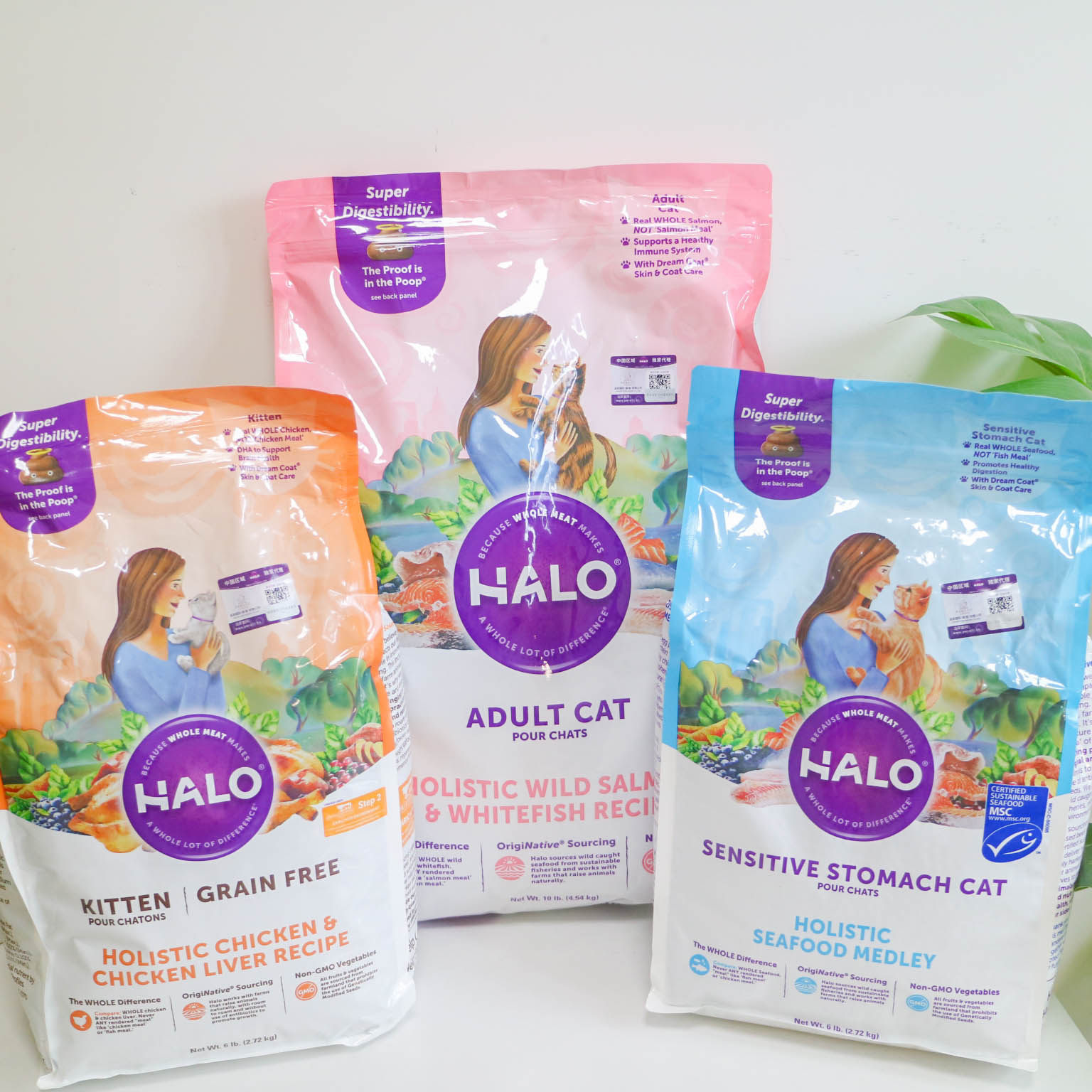 Spot soft stool nemesis halo natural halo cat food bodybuilding body into a kitten full-term gastrointestinal sensitive cat food