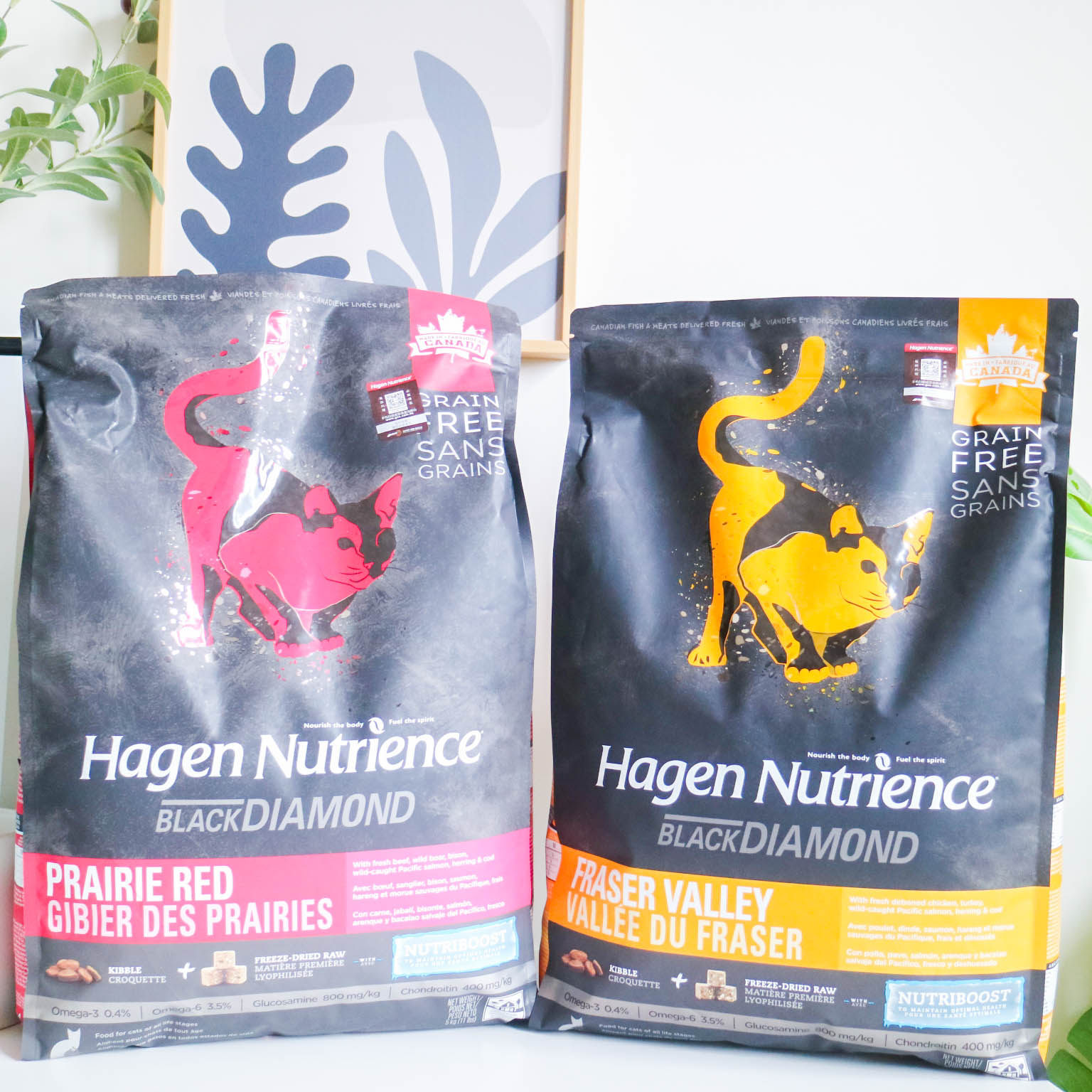 HagenNutrience Hagen Nutris black diamond grain-free cat food red meat chicken whole cat food 5 lbs 11 lbs