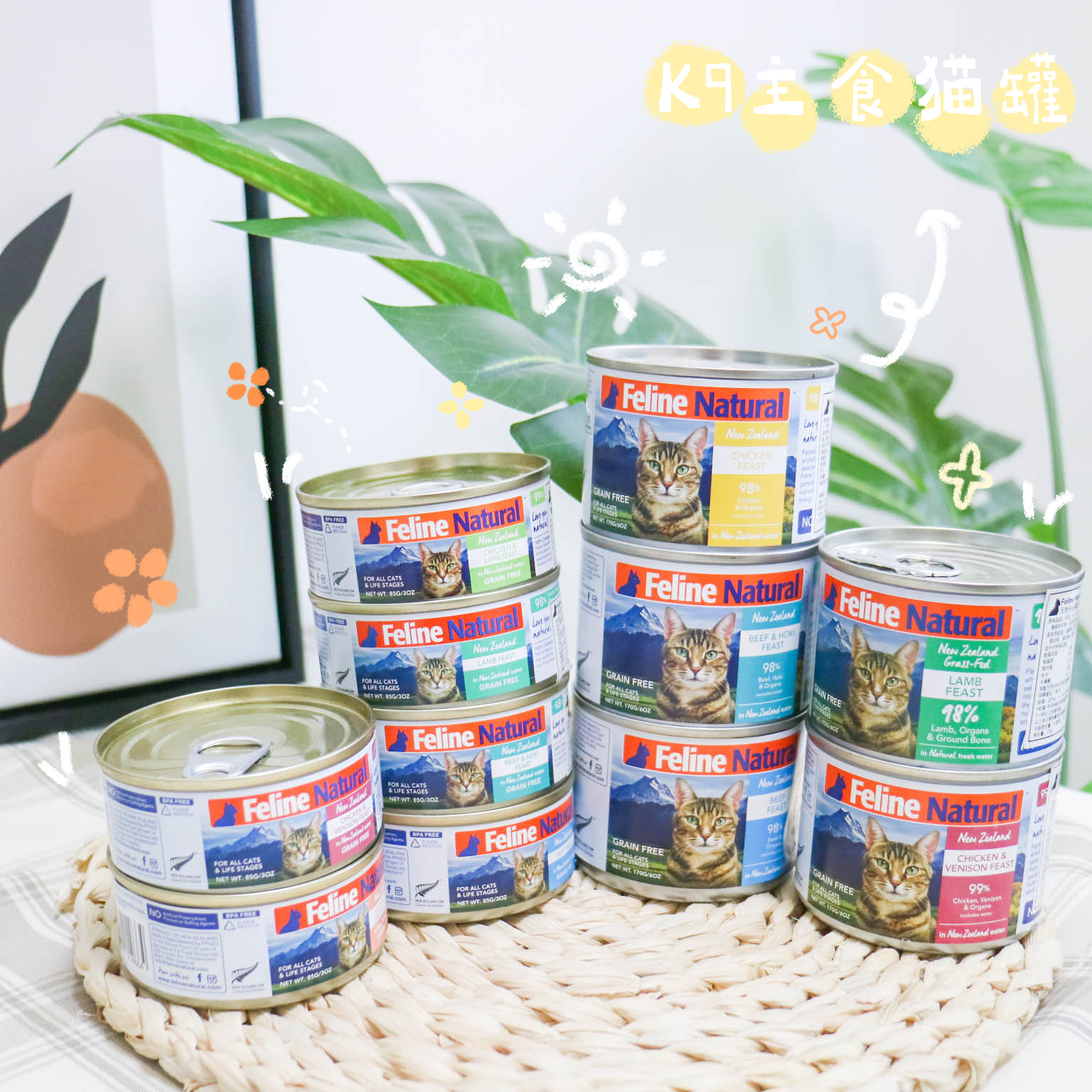 New Zealand K9 Natural natural grain-free into kittens canned staple food canned chicken cod beef 170g
