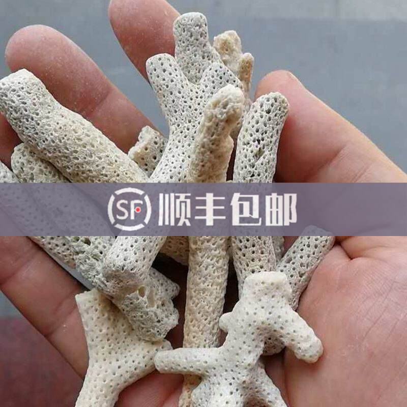 Selected Coral Bone Pure Long Branches Fish Pond Large Coral Sand Coral Sand Coral Stone Filter Material Water Quality Stable Ph