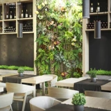 格调印象 Моделирование растения настенные затворы крышка стена Стенная стенка